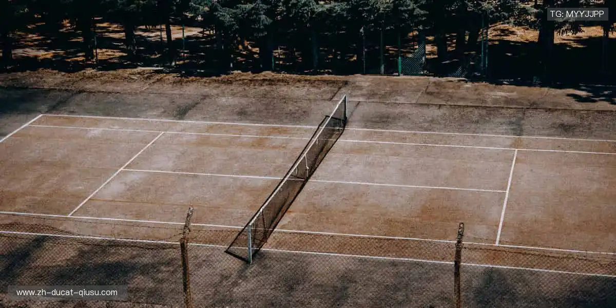 👟潮动全场，装备升级你的运动 DNA！🎁